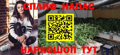 mix Новозыбков