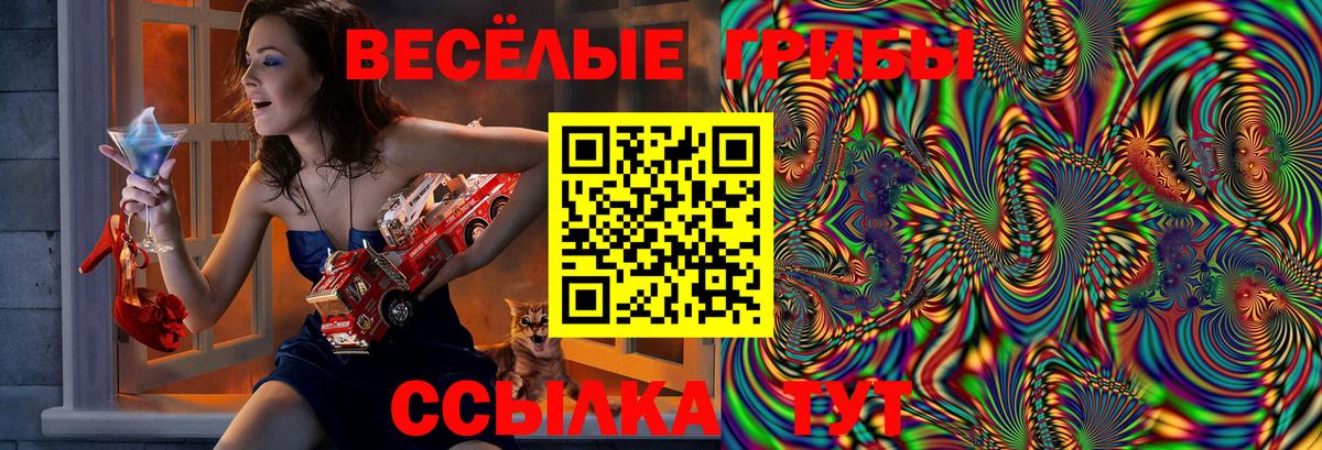Галлюциногенные грибы Magic Shrooms Ржев
