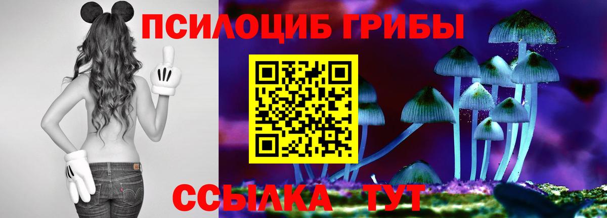 Ржев  Псилоцибиновые грибы Magic Shrooms  Псилоцибиновые грибы мухоморы  Вход с VPN 